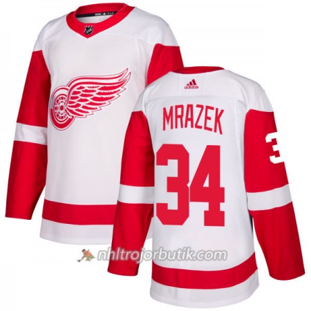 Män Ishockey Detroit Red Wings Tröja Petr Mrazek 34 Adidas 2017-2018 Vit Authentic